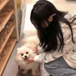 梦幻灵侠官方下载